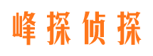 寿县市侦探调查公司